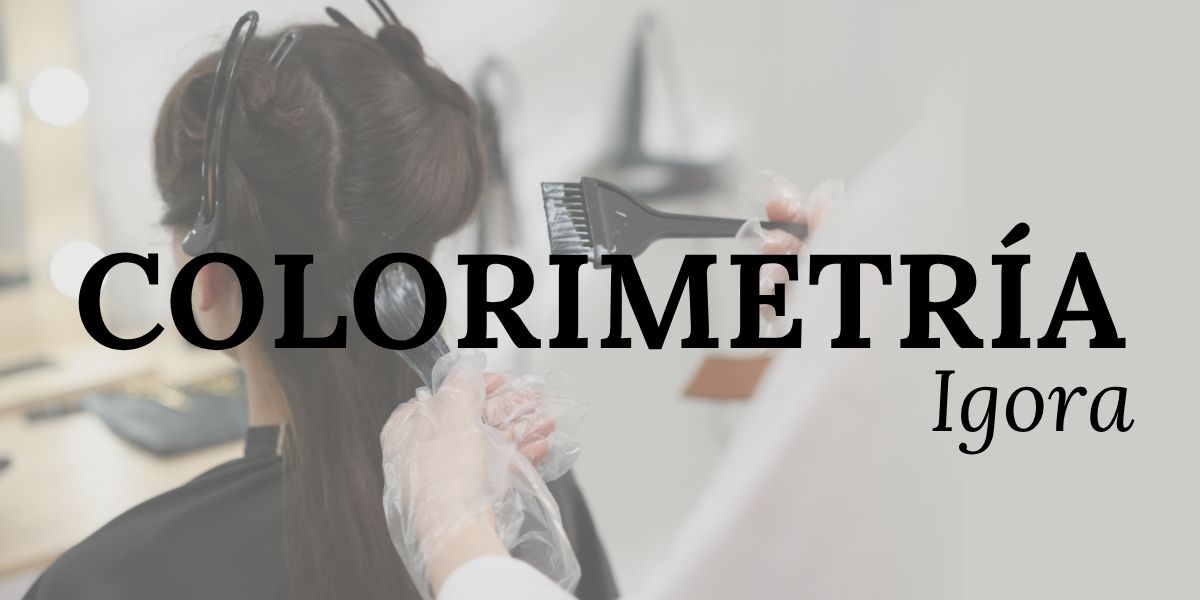 CURSO DE COLORIMETRIA IGORA